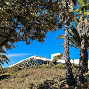 Villa Rosé Viñedo Privado Degustación de Vino